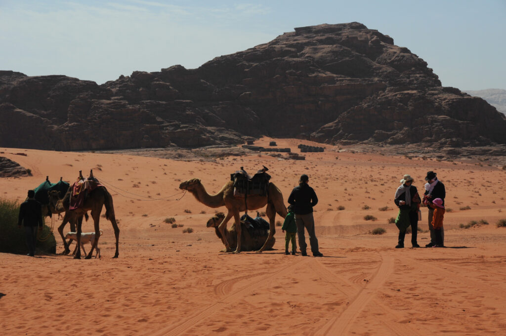 camel tours wadi rum