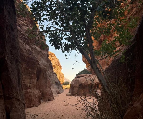 Abu Khashabah Canyon by Khaled`s Camp-Wadi Rum
