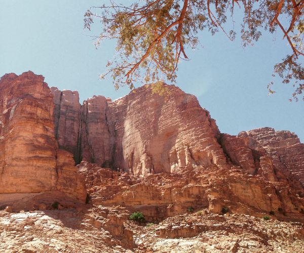 Spring of Lawrence By Wadi Rum Camp