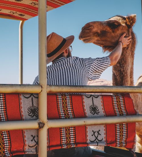 One day Wadi Rum jeep tour exploring desert landscapes, rock formations, and sandy trails