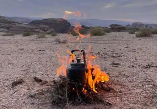 Bedouin Tea